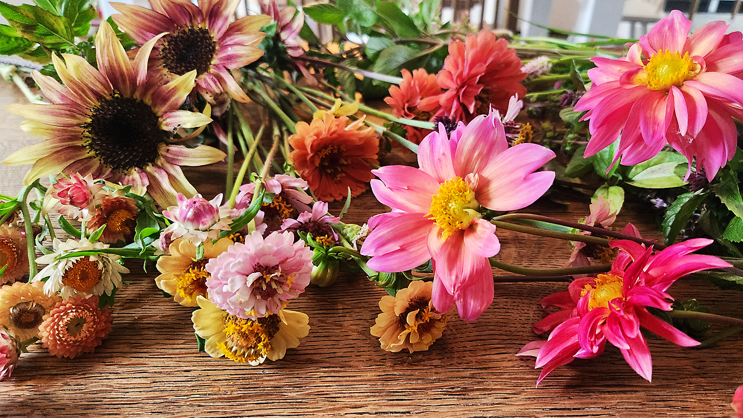 Desktop Background Wallpaper | Digital Download