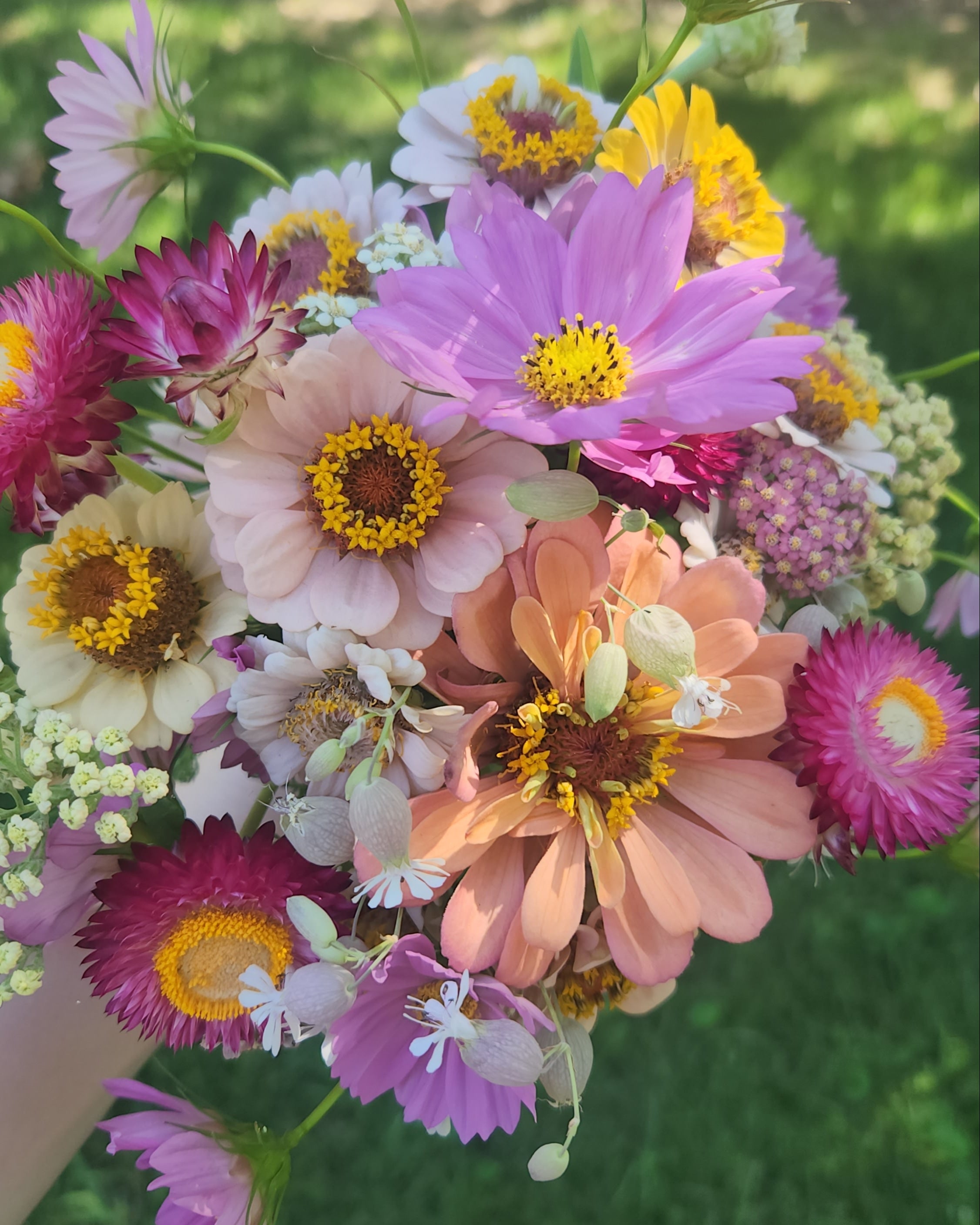 Backyard Growers Flourish in the Pandemic's Wake